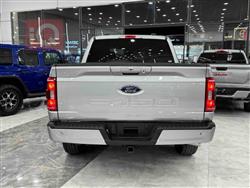 فۆرد F-150